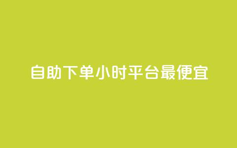 自助下单24小时平台最便宜,一元买赞app - 947卡盟 vx小号批发发卡网  第1张