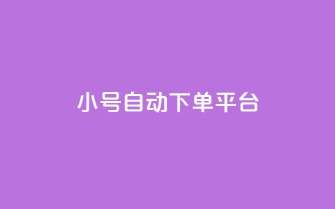 ks小号自动下单平台 - KS小号自动下单平台，一键畅享便捷购物体验!  第1张