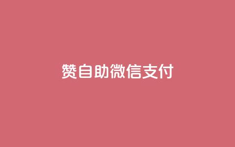 Ks赞自助微信支付,24小时秒单业务平台免费 - 自主下单平台-网红助手 ks下单便宜业务  第1张