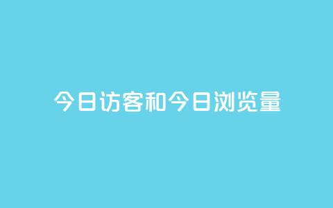 今日访客和今日浏览量,q赞助手最新版下载 - qq绝版名片代码大全 抖音下单24小时  第1张