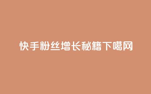 快手粉丝增长秘籍 第1张 快手粉丝增长秘籍 第1张