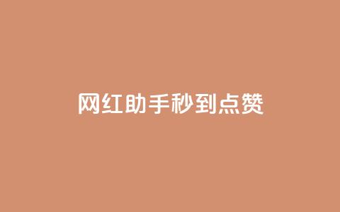 网红助手秒到点赞,dy低价业务平台 - 快手100个粉丝快速获得方法 自助业务商城dy  第1张