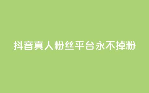 抖音真人粉丝平台 永不掉粉,24小时在线下单商城 - pdd助力平台 拼多多多久才算老用户回归  第1张