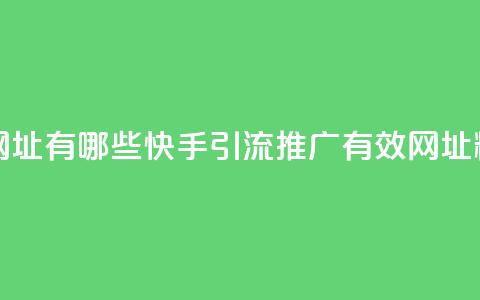 快手推广引流网址有哪些 - 快手引流推广有效网址精选推荐！  第1张