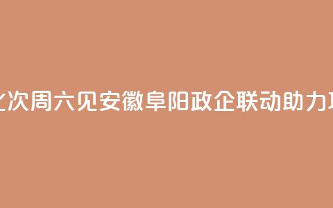 （身边的变化）94次“周六见	”	，安徽阜阳政企联动助力项目“加速跑”  第1张