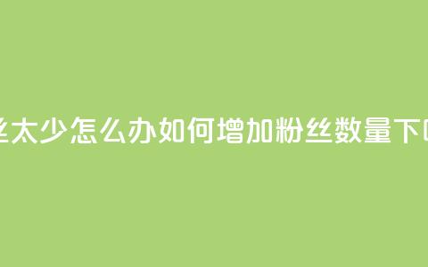 粉丝太少怎么办 - 如何增加粉丝数量?! 第1张 粉丝太少怎么办 - 如何增加粉丝数量?! 第1张