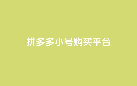 拼多多小号购买平台 - 彩虹正版授权查询下单  第1张