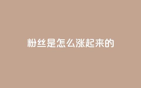 粉丝是怎么涨起来的,ks免费业务平台便宜 - 王者主页秒赞网 快手流量推广网站  第1张