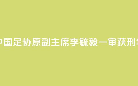 中国足协原副主席李毓毅一审获刑11年  第1张
