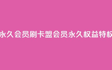 刷卡盟qq永久会员 - 刷卡盟qq会员永久权益特权~  第1张