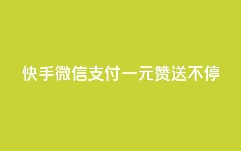 快手微信支付：一元赞送不停  第1张