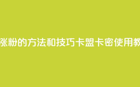 抖音快速涨粉的方法和技巧 - 卡盟卡密使用教程 第1张 抖音快速涨粉的方法和技巧 - 卡盟卡密使用教程 第1张