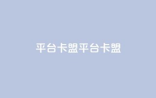 平台卡盟 平台卡盟,qq业务全网24小时自助下单2024 - ks业务专区云店商城 - 卡盟dy