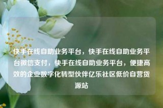 快手在线自助业务平台，快手在线自助业务平台微信支付，快手在线自助业务平台，便捷高效的企业数字化转型伙伴亿乐社区低价自营货源站