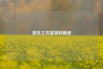 音乐工作室项目概述
