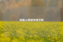 成都g02购途市场女鞋