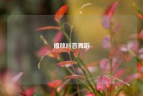 播放抖音舞蹈