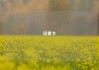 流量卡