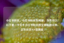 小红书粉丝，小红书粉丝如何涨，当然可以！以下是一个关于小红书粉丝的文章标题示例，亿乐社区SUP货源站