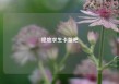 绝地求生卡盟吧