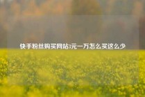 快手粉丝购买网站3元一万怎么买这么少