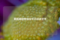 黄杨钿甜曾接受专访详谈艺考