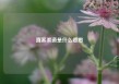 直客渠道是什么意思