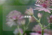 visia数据库