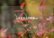 qq会员怎么升级到vip2