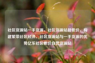 社区货源站一手货源，社区货源站超低价，构建繁荣社区经济，社区货源站与一手货源的优势亿乐社区低价自营货源站