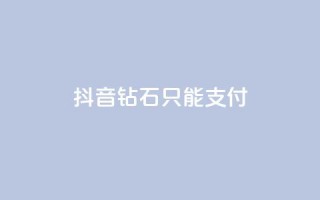 抖音钻石只能apple支付,快手网红免费网站 - dy买号 - 快手打call刷新的网站