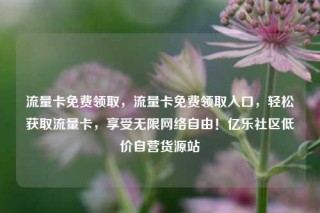 流量卡免费领取，流量卡免费领取入口，轻松获取流量卡，享受无限网络自由！亿乐社区低价自营货源站