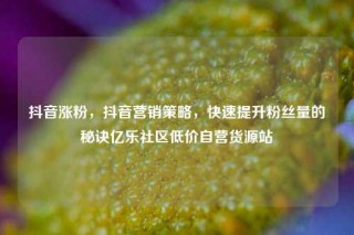 抖音涨粉，抖音营销策略，快速提升粉丝量的秘诀亿乐社区低价自营货源站