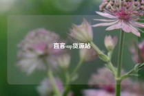 直客sup货源站