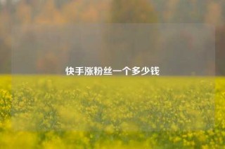 快手涨粉丝一个多少钱