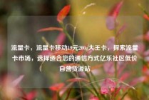 流量卡，流量卡移动19元200g大王卡，探索流量卡市场，选择适合您的通信方式亿乐社区低价自营货源站