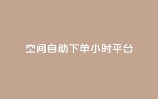 qq空间自助下单24小时平台,网红24小时下单助手 - 王者科技自助平台 - 快手涨热度app