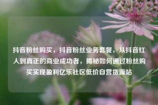 抖音粉丝购买，抖音粉丝业务套餐，从抖音红人到真正的商业成功者，揭秘如何通过粉丝购买实现盈利亿乐社区低价自营货源站