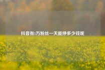 抖音有1万粉丝一天能挣多少钱呢