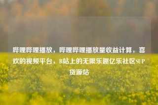 哔哩哔哩播放，哔哩哔哩播放量收益计算，喜欢的视频平台，B站上的无限乐趣亿乐社区SUP货源站