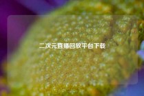 二次元直播回放平台下载