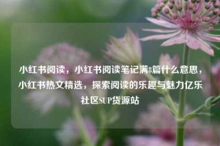 小红书阅读，小红书阅读笔记满8篇什么意思，小红书热文精选，探索阅读的乐趣与魅力亿乐社区SUP货源站