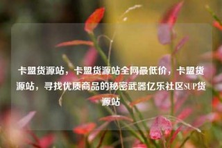 卡盟货源站，卡盟货源站全网最低价，卡盟货源站，寻找优质商品的秘密武器亿乐社区SUP货源站