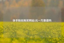 快手粉丝购买网站3元一万靠谱吗