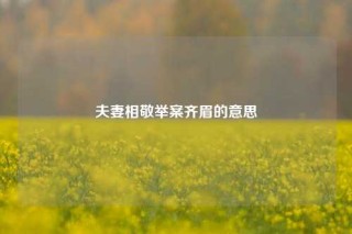 夫妻相敬举案齐眉的意思