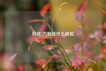 抖音2万粉丝什么价位