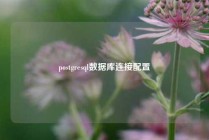postgresql数据库连接配置