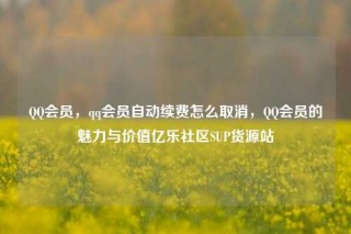 QQ会员，qq会员自动续费怎么取消，QQ会员的魅力与价值亿乐社区SUP货源站