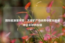 国际能源署预警：关键矿产市场集中度加剧或冲击全球供应链