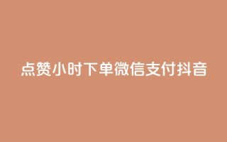 点赞24小时下单微信支付抖音,QQ空间刷浏览记录网站 - 卡盟十大平台排行榜 - 网红助手24小时免费下单